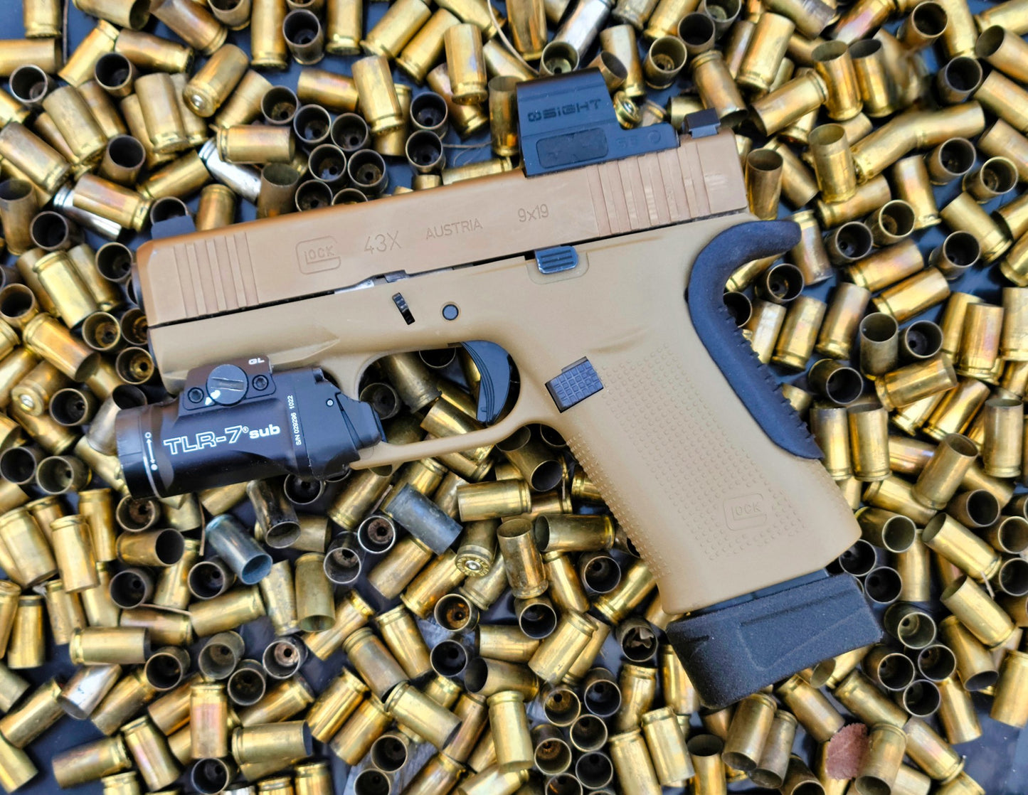 WPZ DMZ2